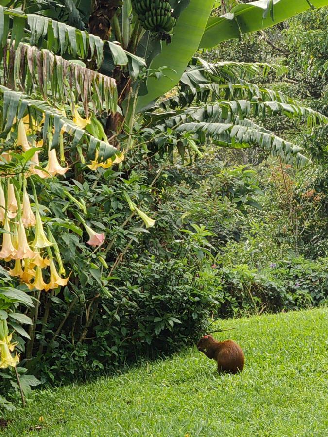 Monteverde House المظهر الخارجي الصورة