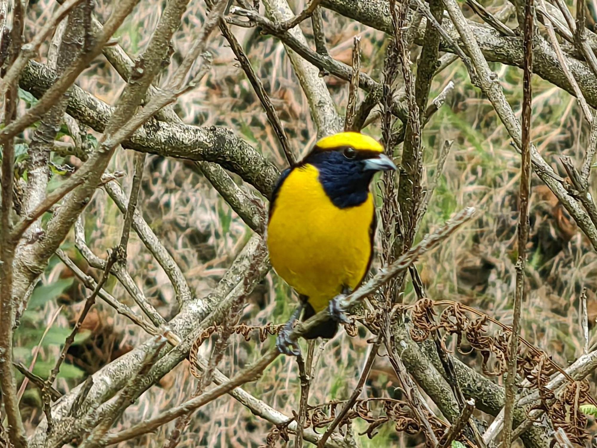 Monteverde House المظهر الخارجي الصورة