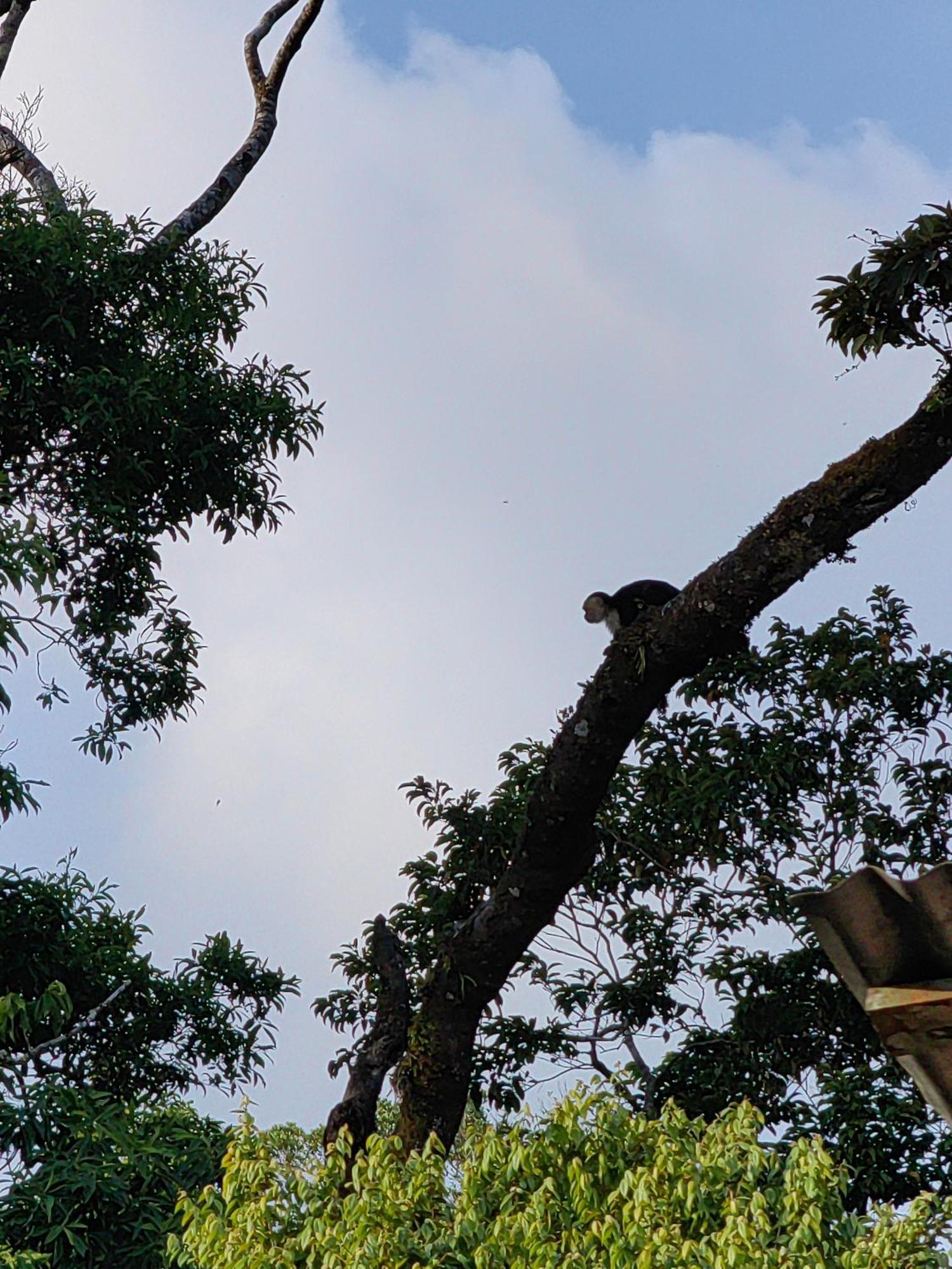 Monteverde House الغرفة الصورة