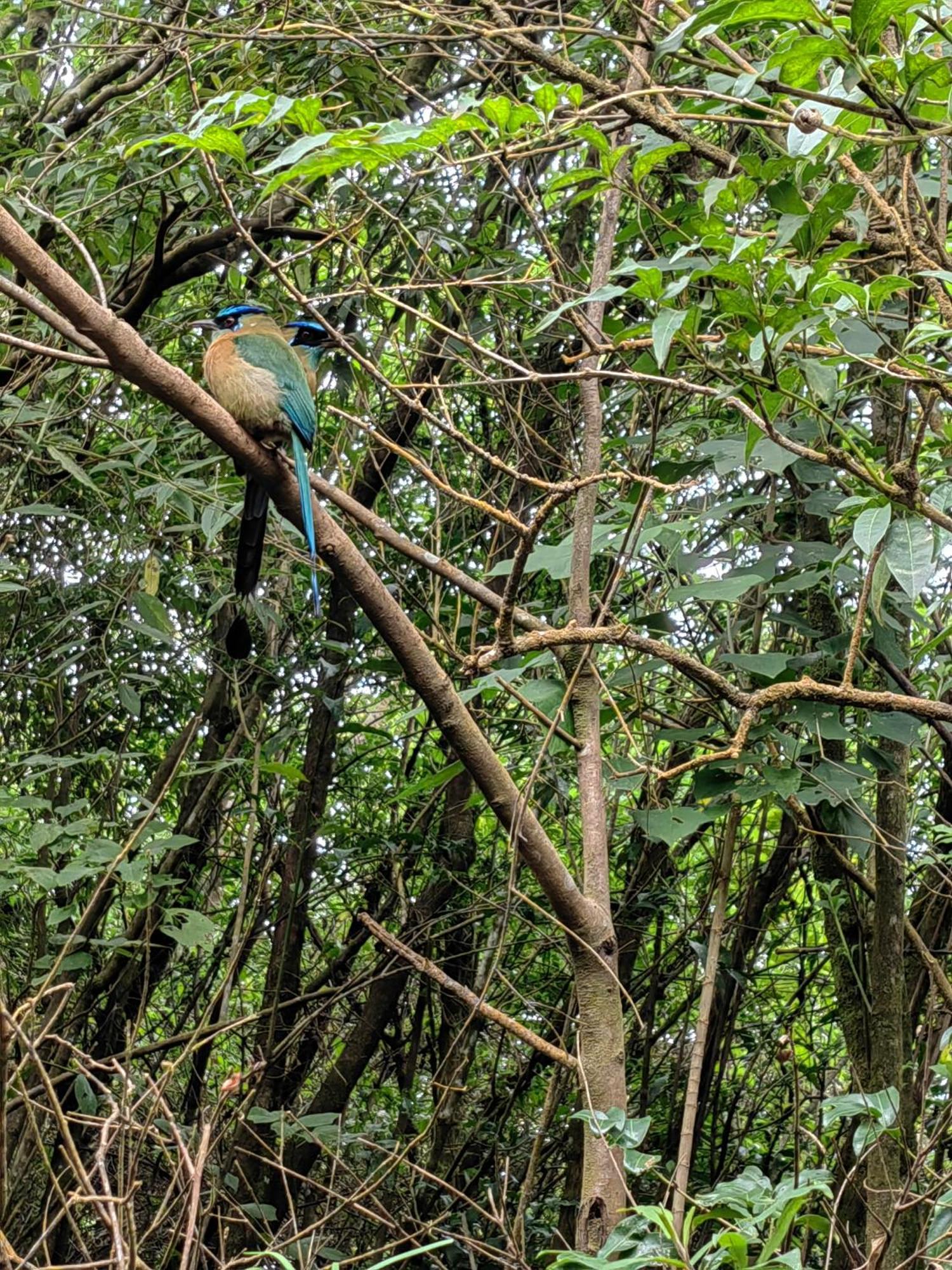 Monteverde House الغرفة الصورة