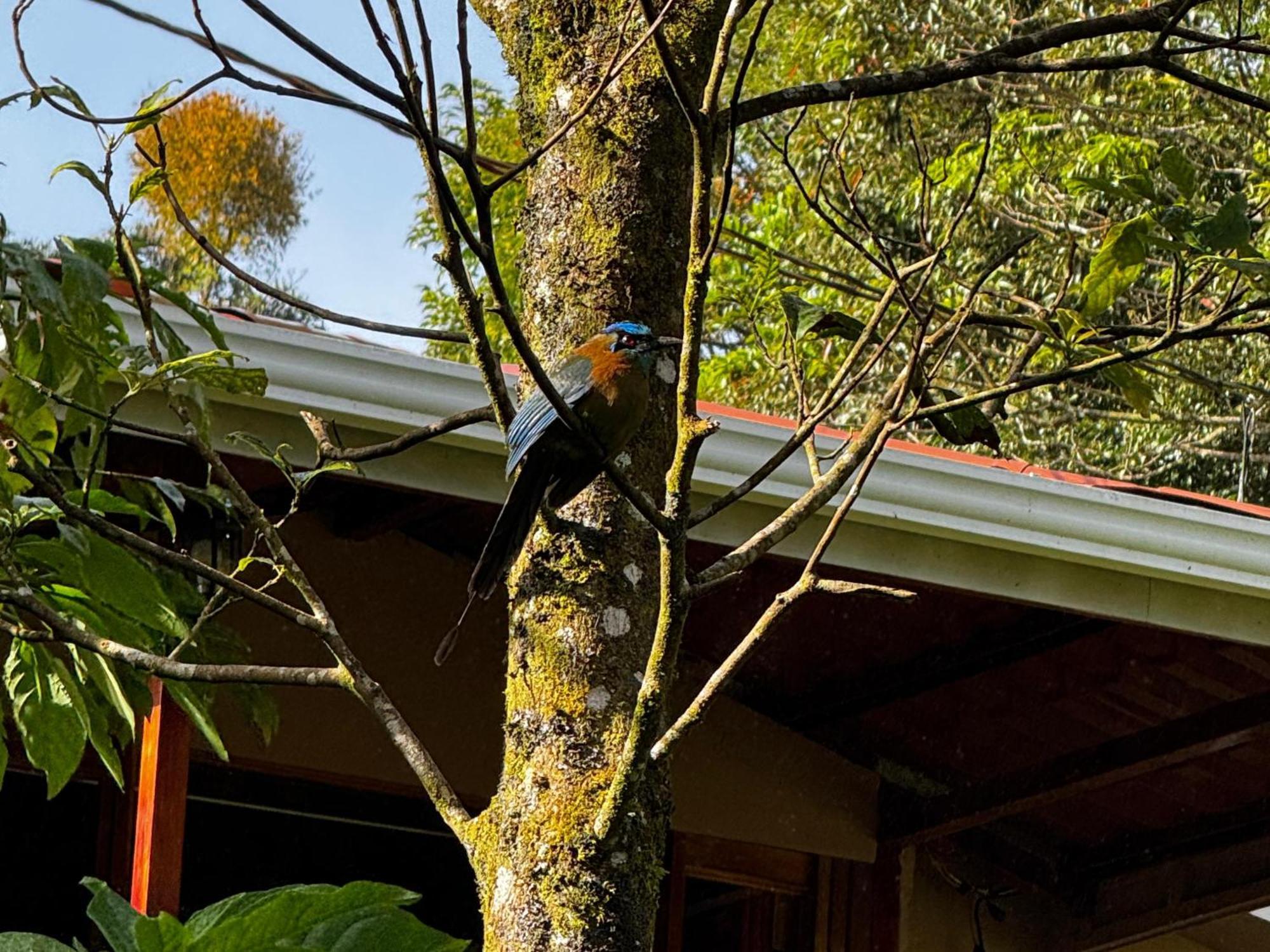 Monteverde House الغرفة الصورة